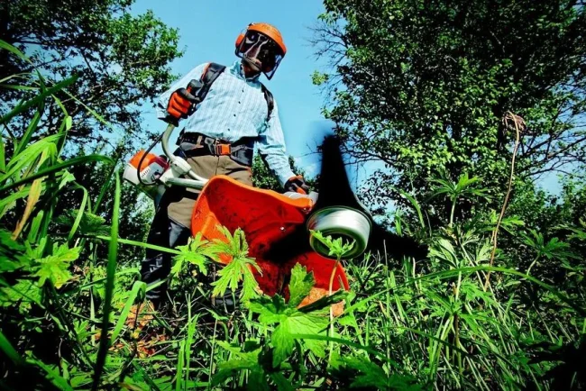 Pour entretenir son jardin tout en économisant : équipement et outils à petit budget