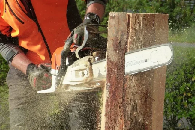 Réduisez votre jardin avec la tronçonneuse électrique Scheppach CSE2600