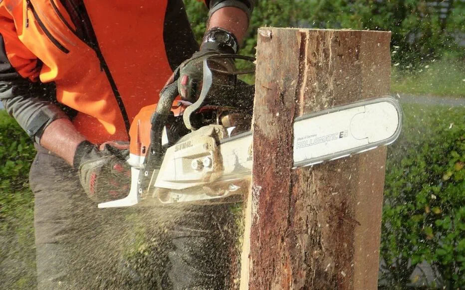 Réduisez votre jardin avec la tronçonneuse électrique Scheppach CSE2600