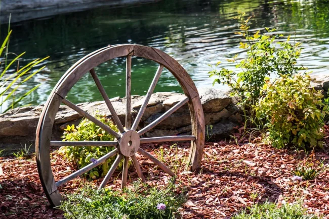 Révolution dans l'agriculture : Découvrez le paillage inversé et ses avantages surprenants