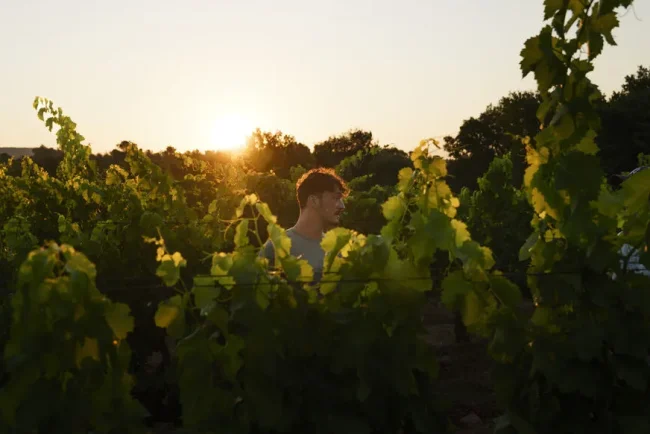 Un nouveau jour se lève sur le Château Revelette