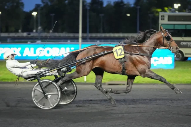 Une course palpitante à Vincennes : le Suède surprend et captivant