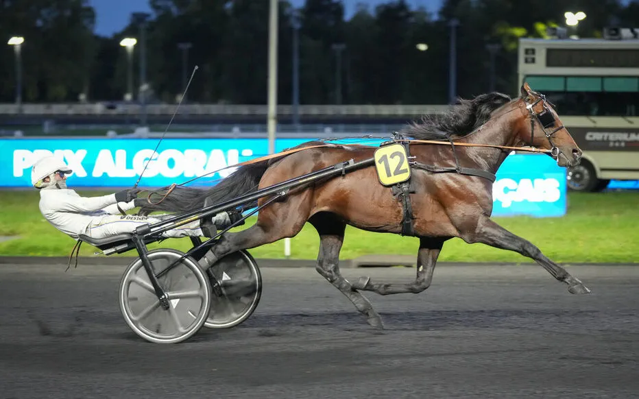 Une course palpitante à Vincennes : le Suède surprend et captivant
