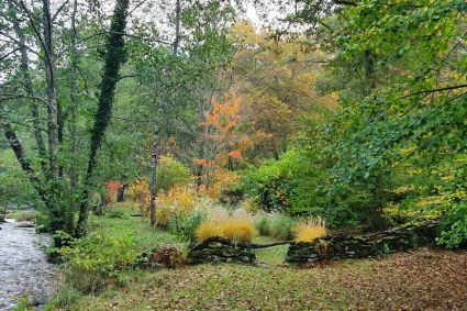 Un jardin à découvrir : l’Arboretum de la Sédelle, un havre de verdure entre Berry et Limousin