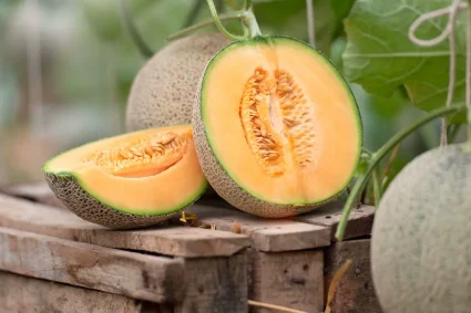 Le geheim du melon de Lunéville