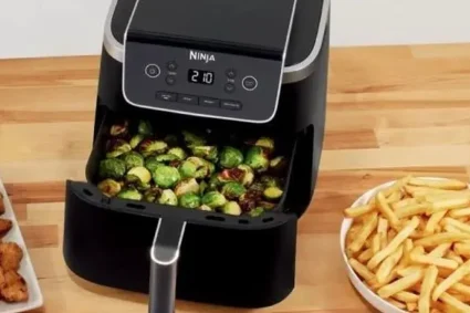 Friteuse sans huile Ninja Pro : une cuisine saine à petit budget