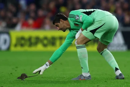 Un rat intrépide perturbe le match entre le Pays de Galles et la Belgique