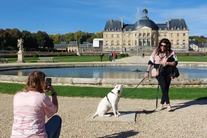 Les chiens découvrent les jardins à la française du château de Vaux-le-Vicomte