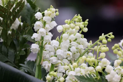 1er Mai : des maires de gauche et de droite rendent hommage aux luttes sociales tout en exprimant leur opposition à la fermeture des magasins le lundi de Pâques