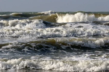 Des fossiles humains surprenants découverts sur une plage de Caroline du Sud